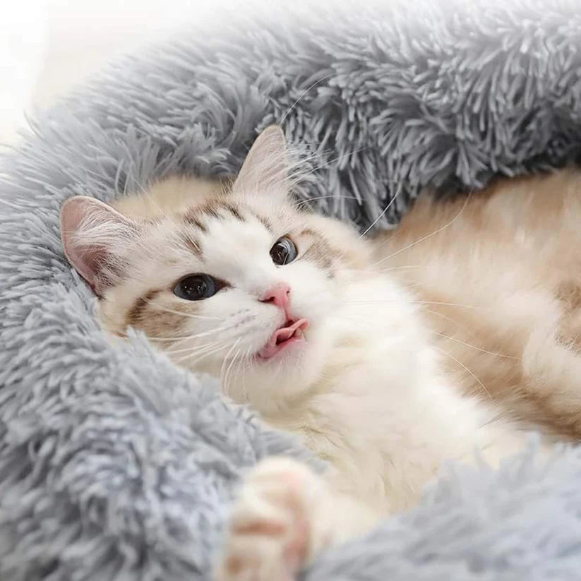 Cama Antiestrés Para Gatos