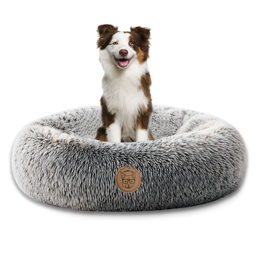 Cama Antiestrés Para Perros