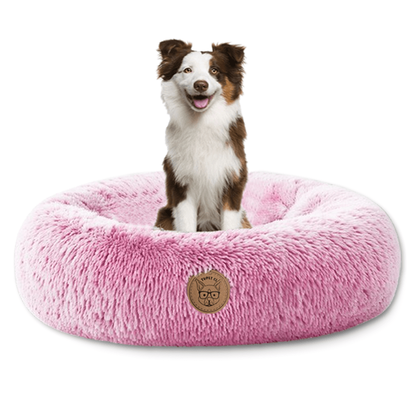 Camita Antiestrés Invierno - tupet.cl