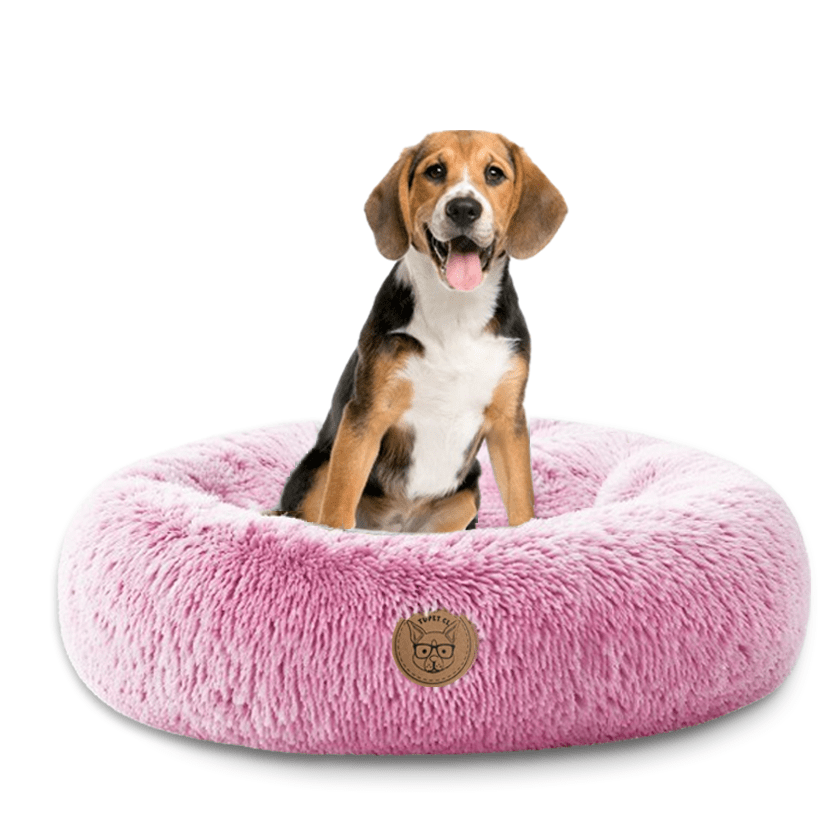 Camita Antiestrés Invierno - tupet.cl