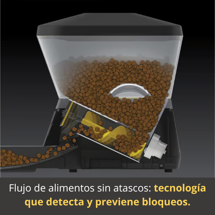 🆕 ¡Nuevo! Dispensador Automático Programable