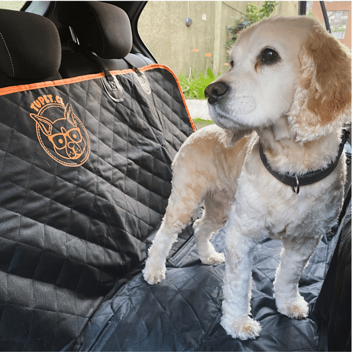 Cubreasiento Premium XL - tupet.cl